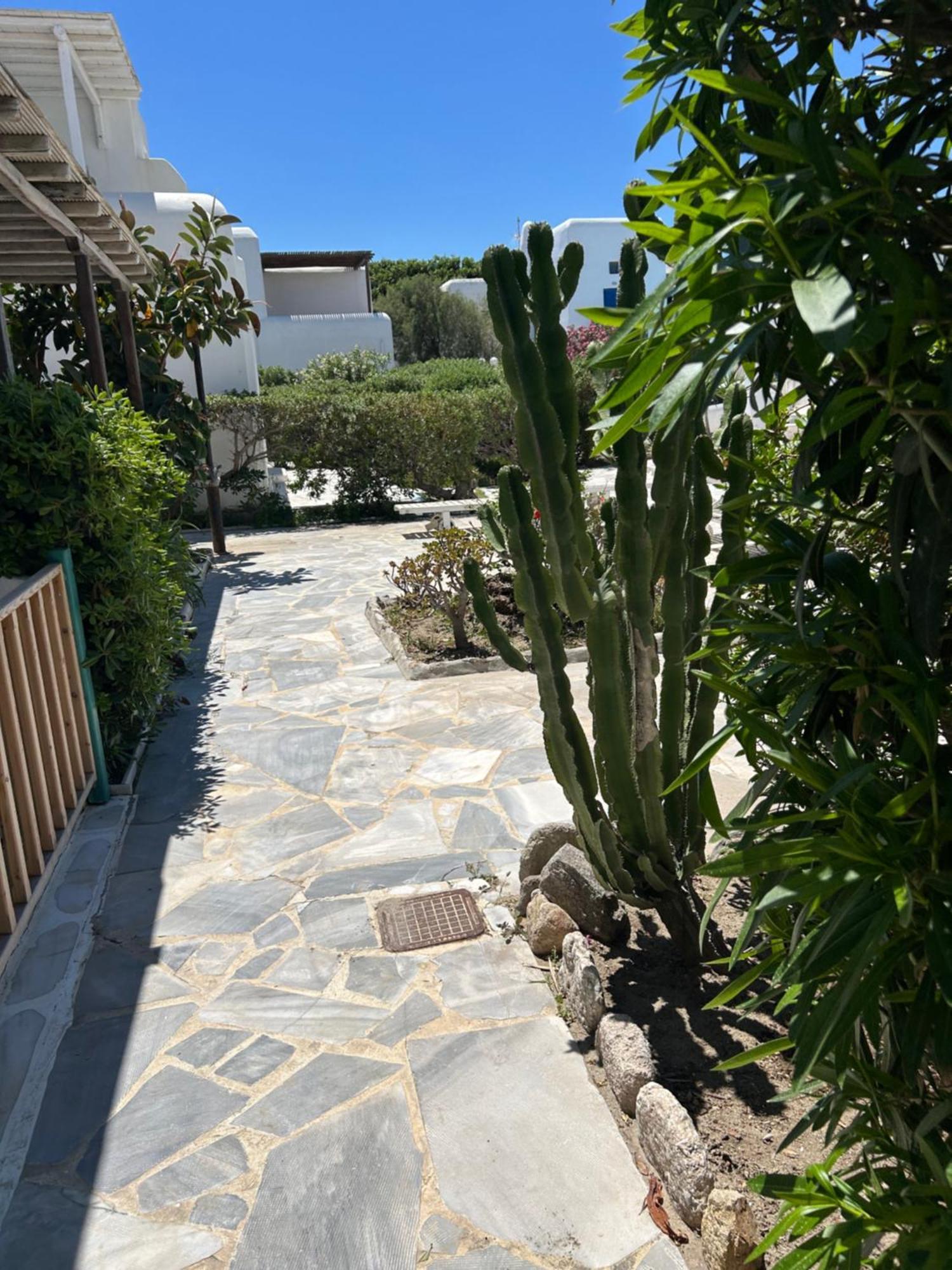 Luxury House With Swimming Pool In Ornos Mykonos Villa Exterior photo